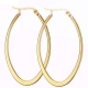 Minimalist stylish hoop earrings gold plated stainless steel hoop earring 18k